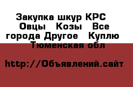 Закупка шкур КРС , Овцы , Козы - Все города Другое » Куплю   . Тюменская обл.